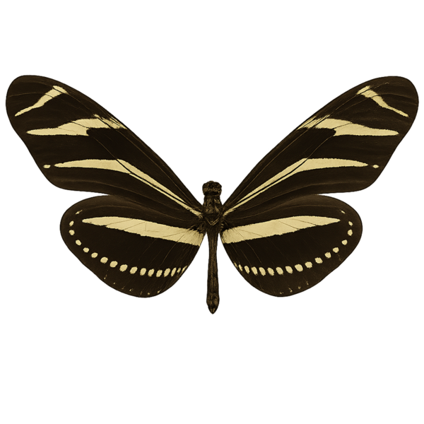 Mariposa Cebra